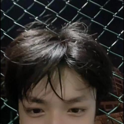 i狗人士速进/刘耀文