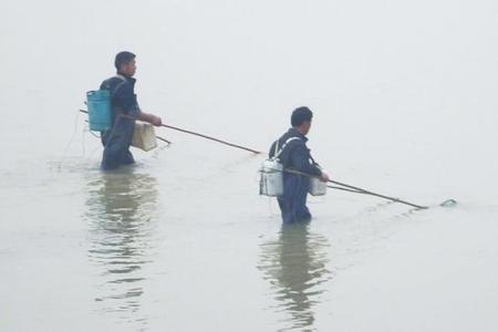 7名男子驾船结队在长江保护区电鱼被抓