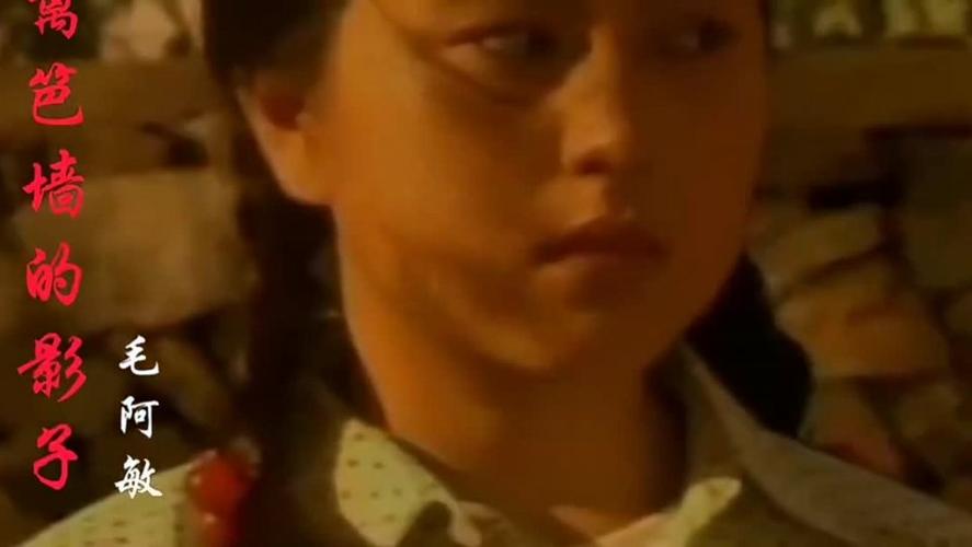 毛阿敏篱笆墙的影子一开场就泪流满面歌声感动了一个时代