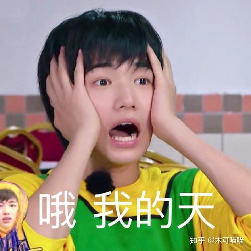 可以分享给我一些宋亚轩的表情包吗