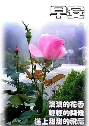 2021清晨阳光漂亮的早上好问候动态图片,春天微信早安