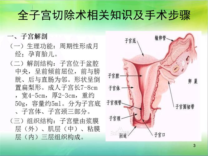 经腹全子宫切除术相关知识及手术步骤