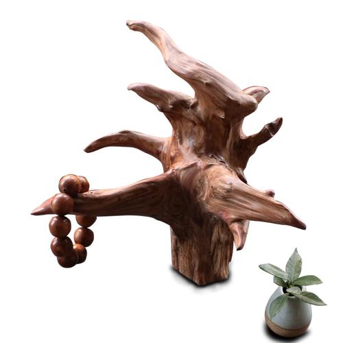 陈化老料香柏红心料树枝根料树根挂架根雕摆件艺术枯木朽木装饰