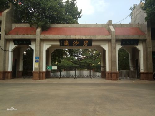 党课学习│碧沙岗公园