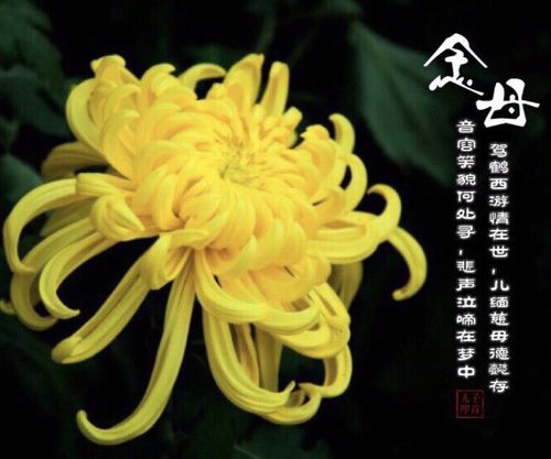 纪念母亲----妈妈去世一周年祭文