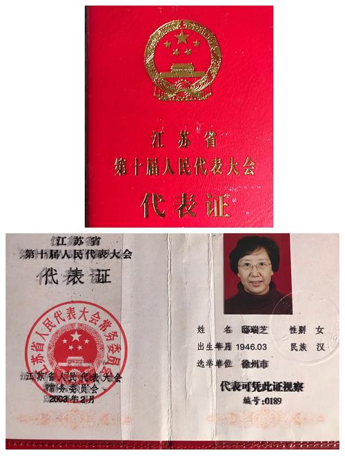 江苏省第十次人民代表大会代表证
