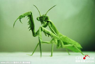 马博纳折纸螳螂