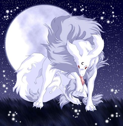 完美潇洒的飞刀