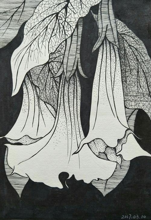 动植物装饰画