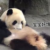 汽水宝宝好饿(~^~)ゞ