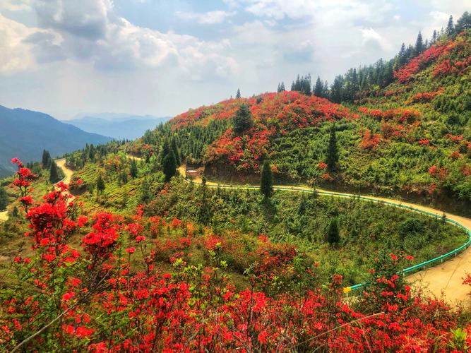 拥抱春天,采撷一缕春风,聆听花开!