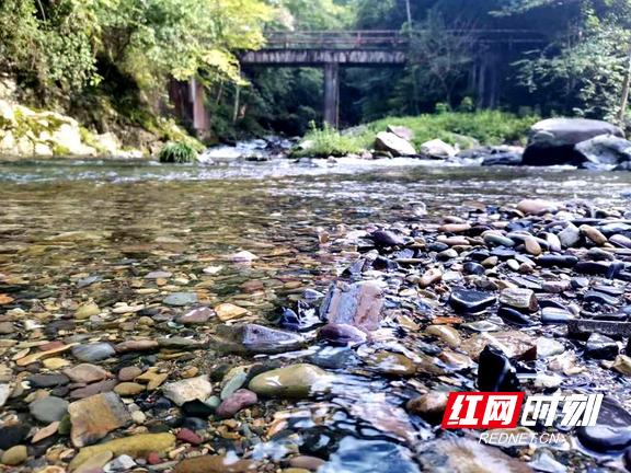 清澈见底的溪流.