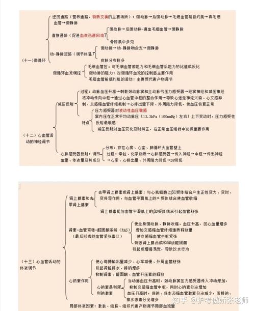 生理学框架图