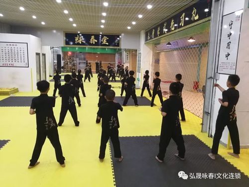 【弘晟咏春·陈村馆】寒假班火热招生中