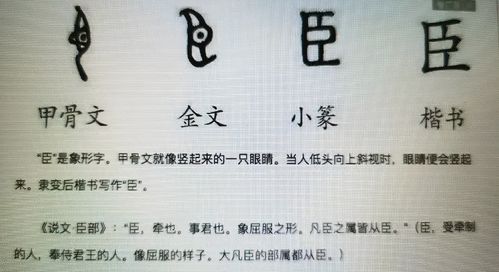 解三星堆纵目者_甲骨文