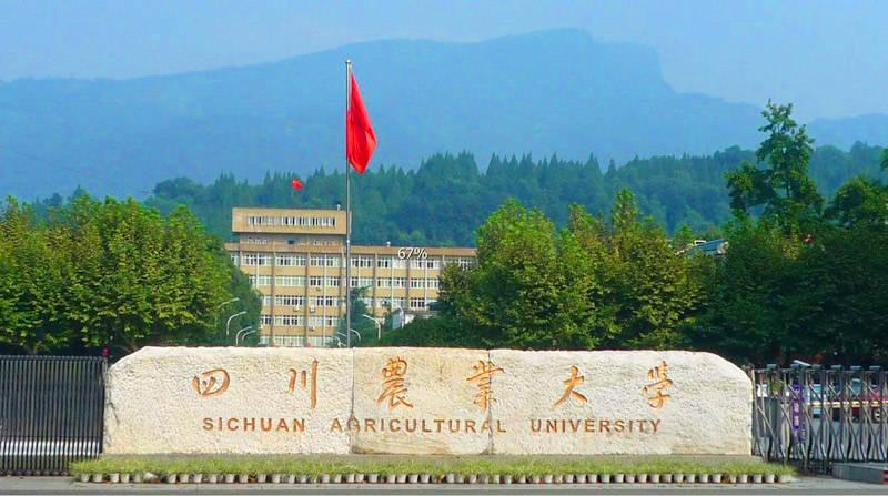 尚才教育|学历提升请查收!四川农业大学2021年最新招生简章