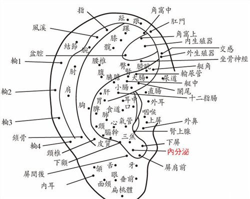 磐石占卜很准的师傅—外观:吉祥如意,耳朵上戴着骷髅