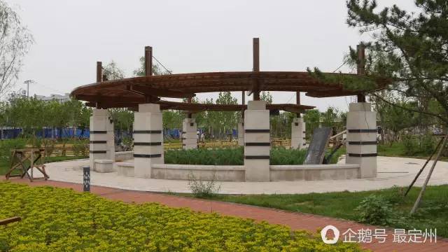 定州最美公园即将开放 带你提前逛