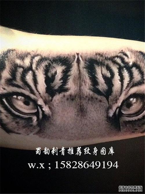 老虎纹身 后背纹身 手臂纹身 胸口纹身 蜀韵刺青