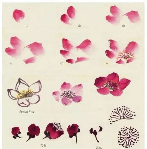 国画教程入门教程桃花画法大全
