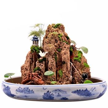 吸水石假山盆景上水石微景观假山石头奇石原石观赏石桌面装饰摆件1015