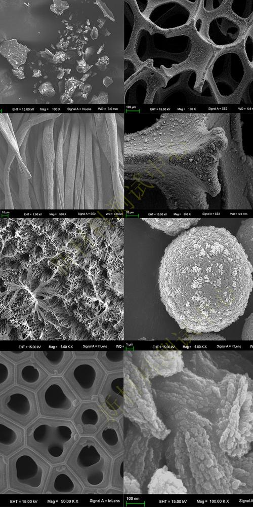 扫描电镜(sem)检测
