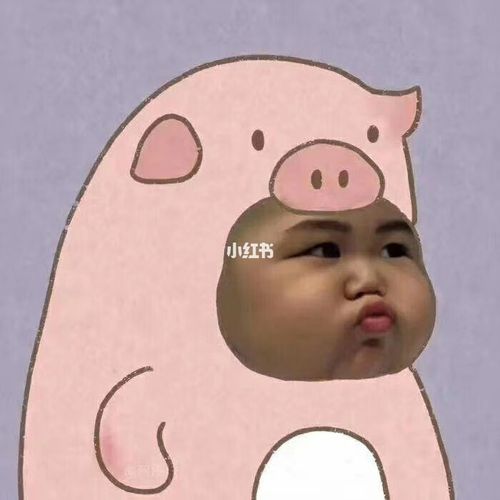 ⑤⑥期印尼小胖子tatan搞怪头像_搞怪_头像_tatan_素材_头像