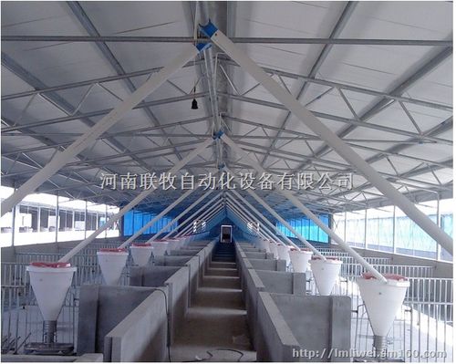 自动化养殖设备/现代化养猪设备/自动料线/自动供料设备