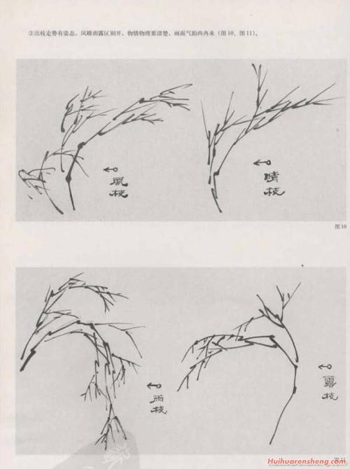 竹子怎样画国画竹技法与步骤介绍2