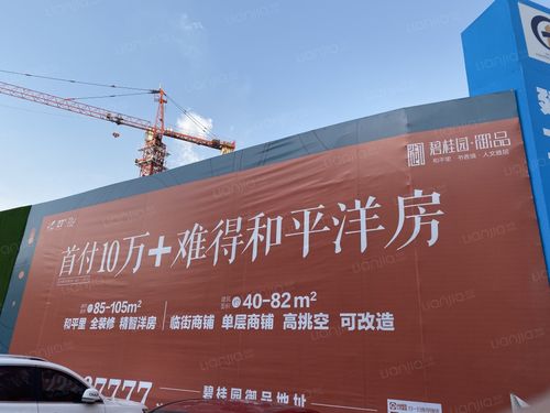 碧桂园御品图片_碧桂园御品实景图(沈阳链家新房)