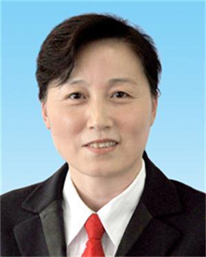 现任北京市石景山区人大常委会党组成员,副主任.