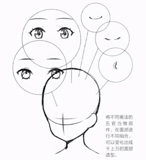 动漫人物的脸型怎么画好看?动漫人物面部的画法