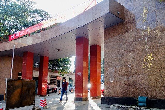 贵州大学的花溪校区就在花溪公园南门外不远处,学生们也是有个绝佳的