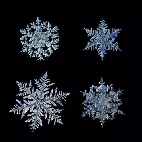 惊艳原来雪花放大100倍后是这样的