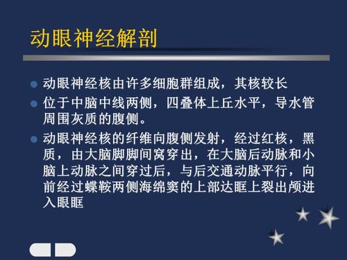 动眼神经解剖.ppt