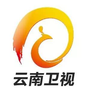 《云南卫视》
