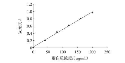 2中方法测定不同浓度下的牛血清蛋白溶液的吸光度,绘制标准曲线,见图1
