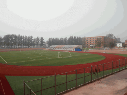 当前位置:开封求实中学 >> 图片展示    >> 开联校区图片 图片展示