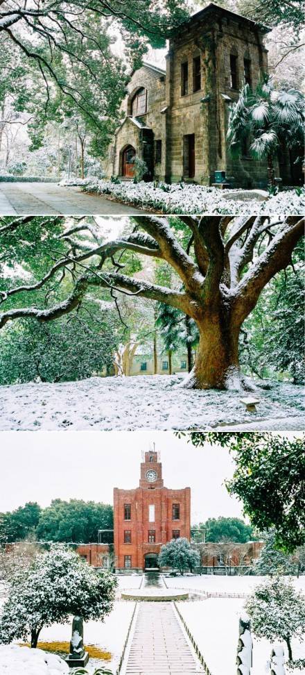 可是2017年的初雪还没有降临!可能是今冬浙大太火了!
