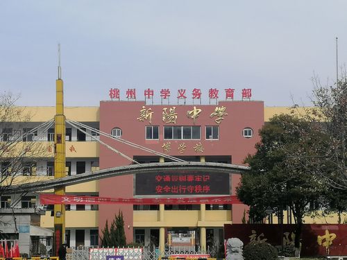 新阳中学(桃州中学义务教育部)