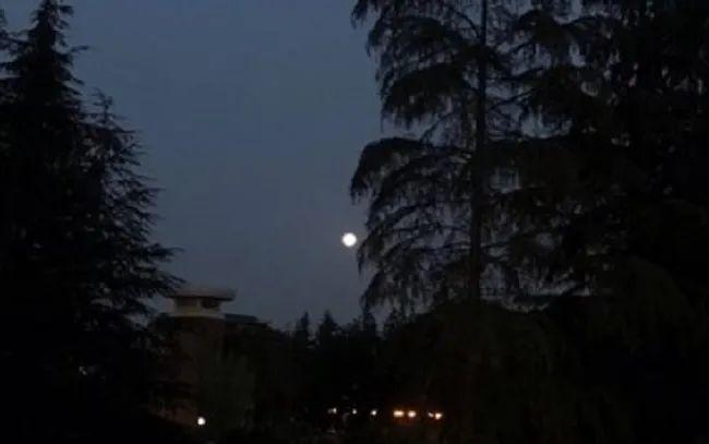 我是怎样一步步,从想自杀到开始治愈的