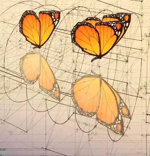 他花40年时间用圆规画1000张画张张都是美的巅峰