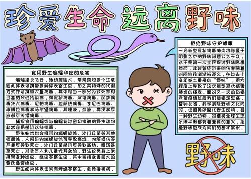 卡通手绘风珍爱生命远离野味儿童手抄报模板