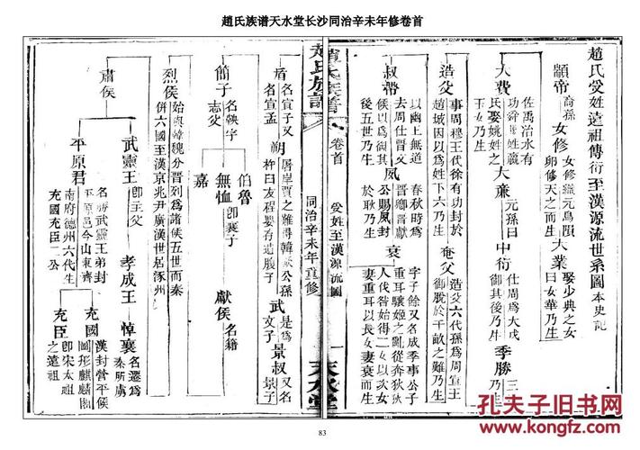 家谱----赵氏族谱【天水堂】湖南长沙支 (卷首) 16开