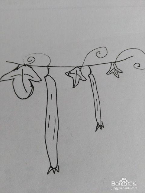 丝瓜藤架简笔画