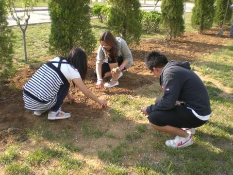 我系党员学生开展义务劳动