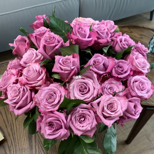 魅影玫瑰_玫红色_家居家装_家居装饰