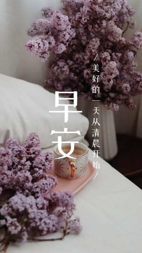 早安心语正能量励志句子图片