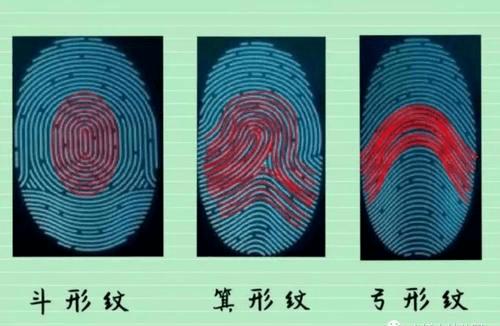 济南市天桥区金色悦城幼儿园探索指纹小奥秘