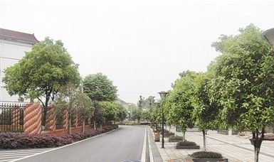 醴陵市浦口镇再创新优势 打造六大支柱型产业/图